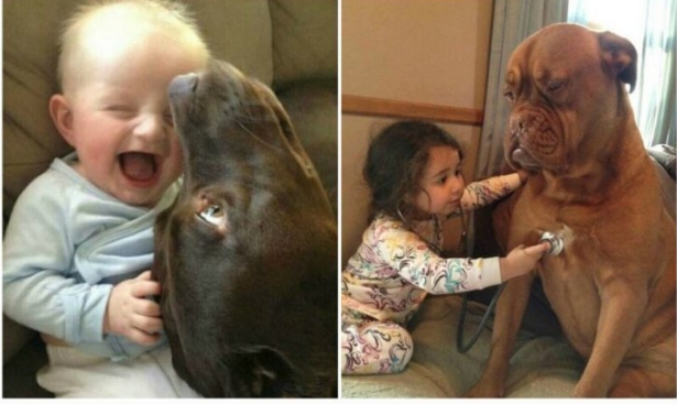 21 милое доказательство того, что каждому ребенку нужна собака